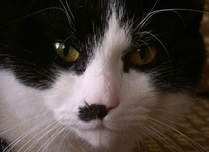 Kryšpín 3. narozeniny