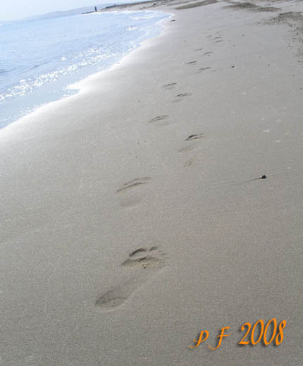 PF 2008 - Old Club Reef, Qatar