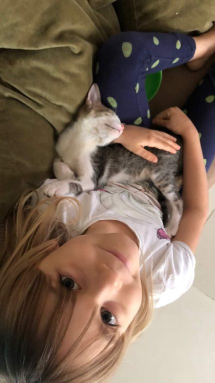 00E500BD-E4E7-40EC-9168-2730CC569BE6