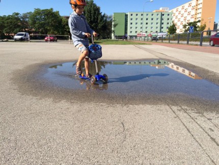 Poslední kaluže po včerejšku