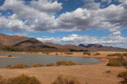 10750111888_IMG_1599