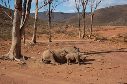 10751902416_IMG_1629