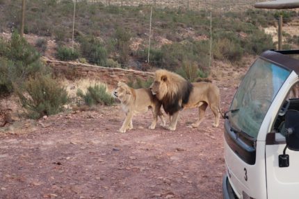 10759520592_IMG_1700