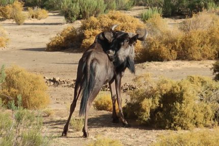 10786144096_IMG_2097