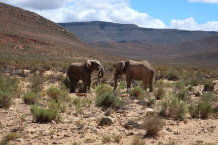 10786167312_IMG_2122