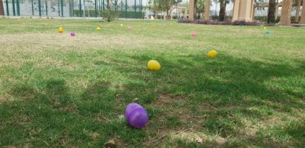 29983145_10155550280857549_2724842522064333989_o