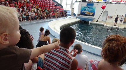 Bulharsko delfinarium