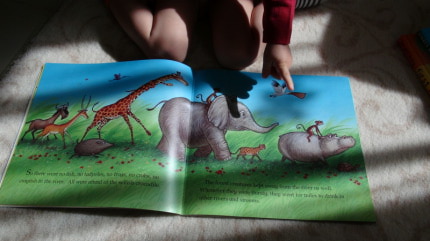 Knížky 2012 - Krokodýl