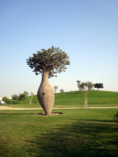 Aspire park - stromy