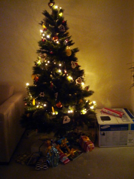 Vánoce 2009 - stromeček s dárky