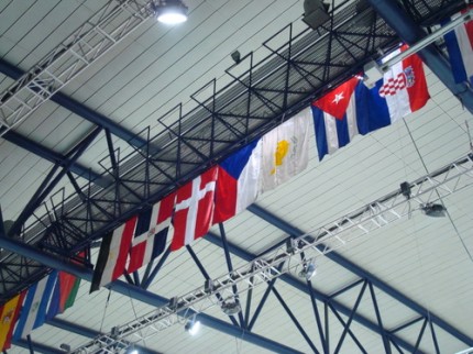 WIC2010 - česká vlajka
