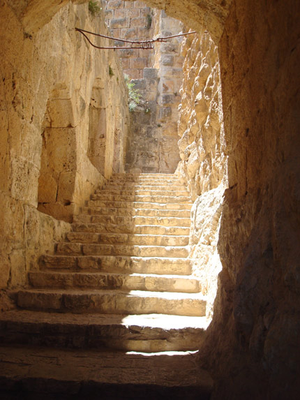 Křižácký hrad Ajloun