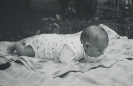 Kachnicky - Veronika 1981