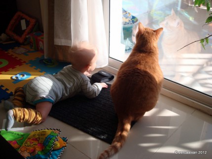 Theo a Kryšpín (prosinec 2011)