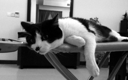 Kryšpínek 2010 bw Kryšpínek 2010 bw