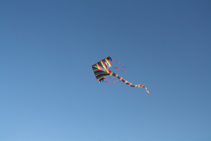 Kite-fest_drak
