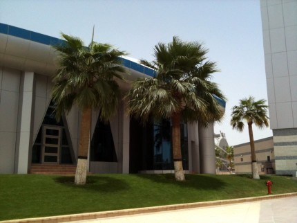 Scavenger Hunt - palmy