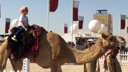 adventnikalendar2015_darbelsai