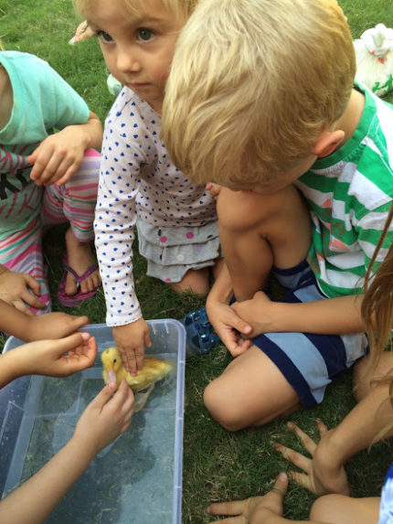 kachna_dhe-fall-2016