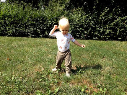 Theo chodí - srpen 2012