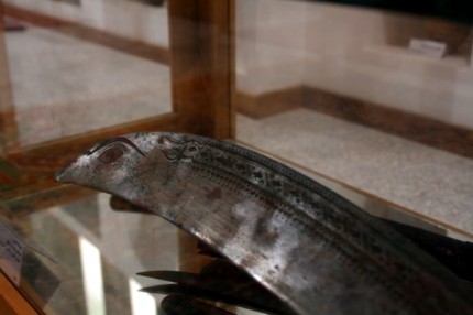 Sh. Faisal's Museum - meč
