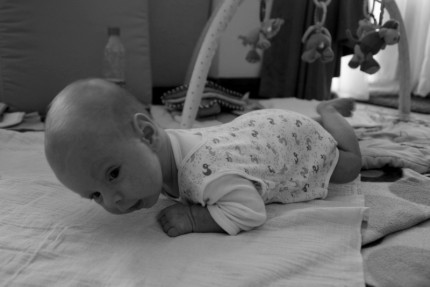 Kachničky - Theo 2011