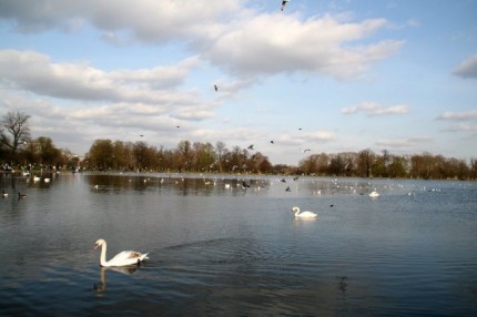 Hyde Park