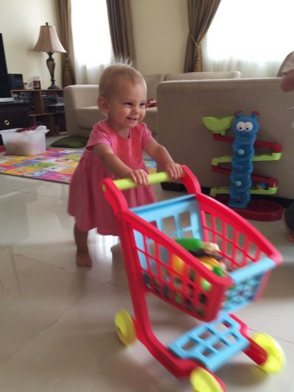 Nákupní vozík i s nákupem