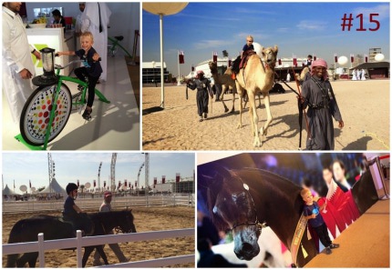 advent2014_15_darelsaai