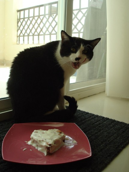 Kryšpínek 1. 5. 2009