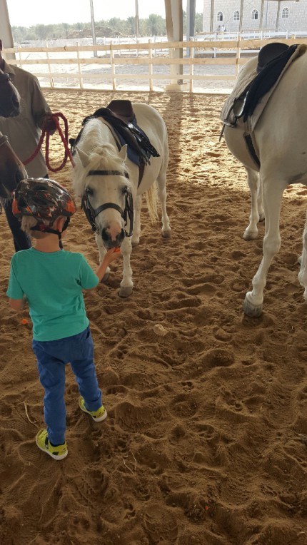 adventnikalendar2015_konici