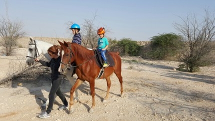 adventnikalendar2015_konici