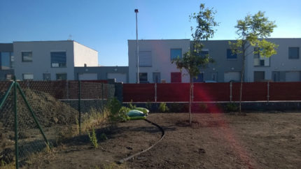 Výsadba začíná (červen 2016)